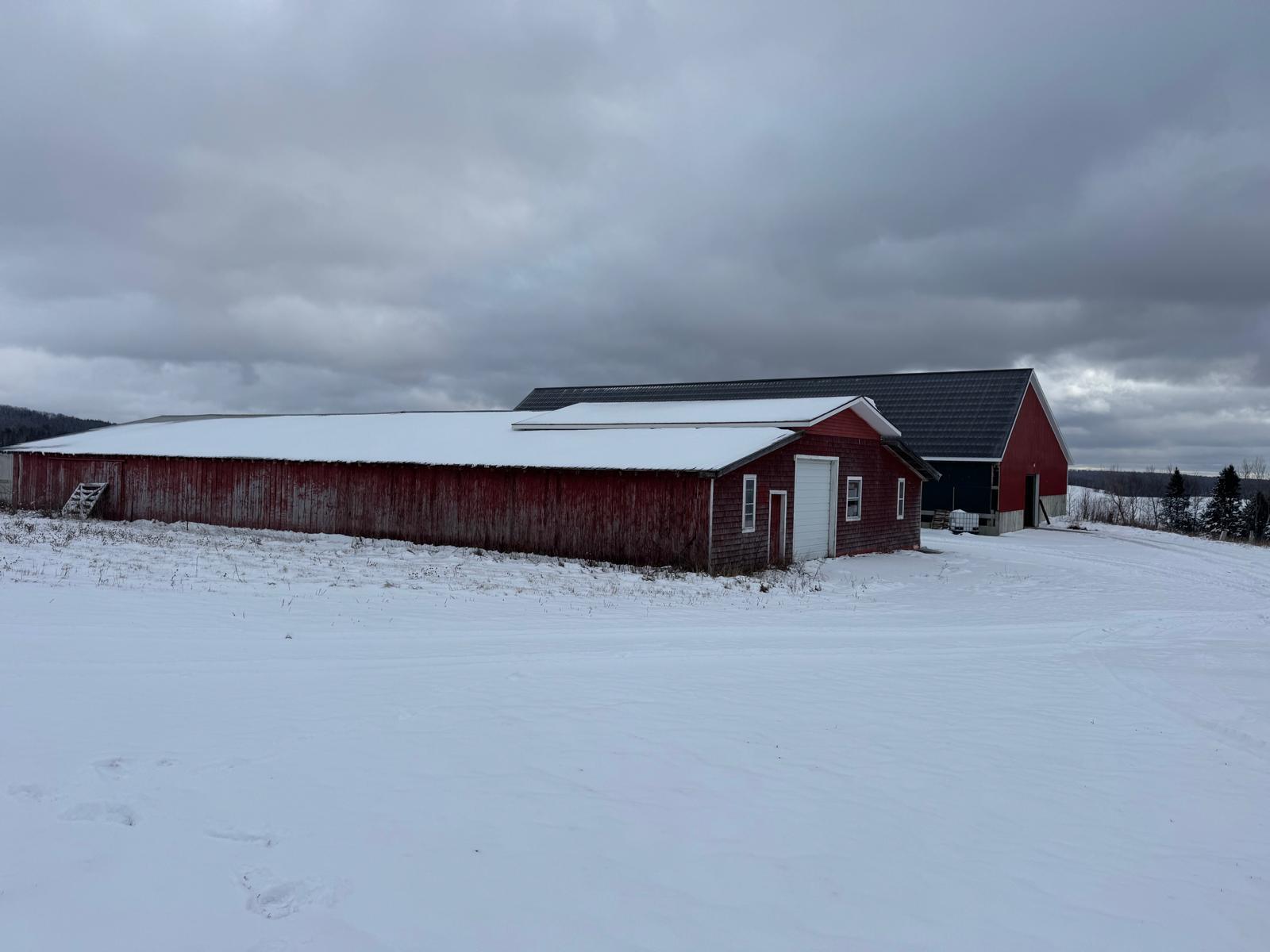 New Canada, Maine, 04743, United States, 6 Bedrooms Bedrooms, ,2 BathroomsBathrooms,Residential,Active,1702003