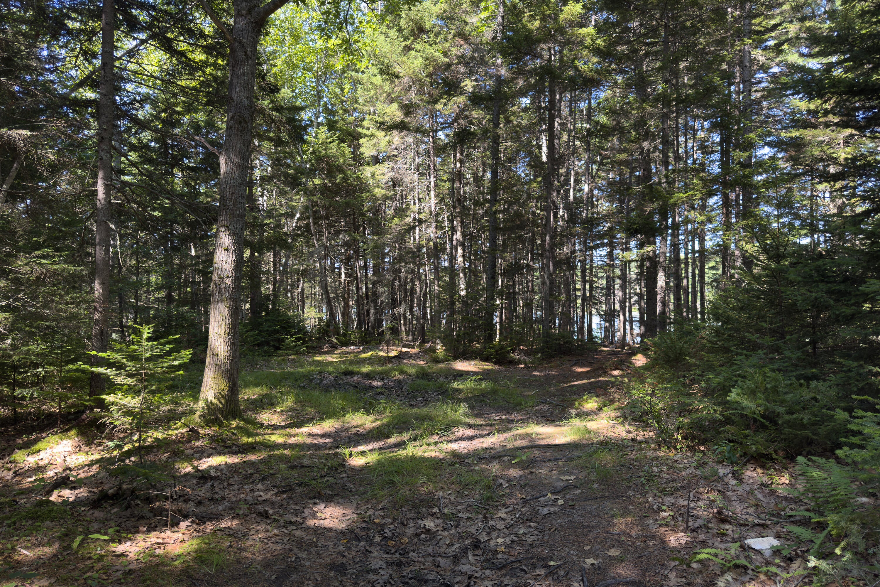 Waldoboro, Maine, 04572, United States, 3 Bedrooms Bedrooms, ,2 BathroomsBathrooms,Residential,Active,1905351