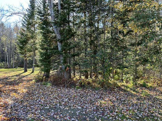 LOT 37-1 CANDEE COTT LANE, MERCER, ME 04957 - Image 1