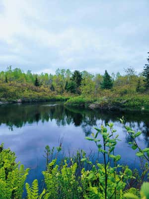 LOT 46 LANE ROAD, CHERRYFIELD, ME 04622 - Image 1