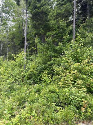 LOT 44 ESTATES ROAD, STEUBEN, ME 04680 - Image 1