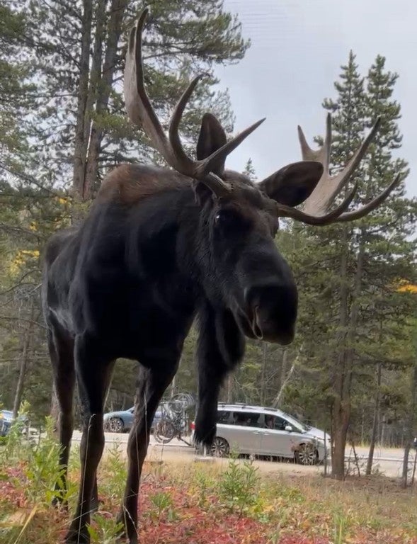 Blue River, Colorado, 80424, United States, 6 Bedrooms Bedrooms, ,5 BathroomsBathrooms,Residential,Active,1863280
