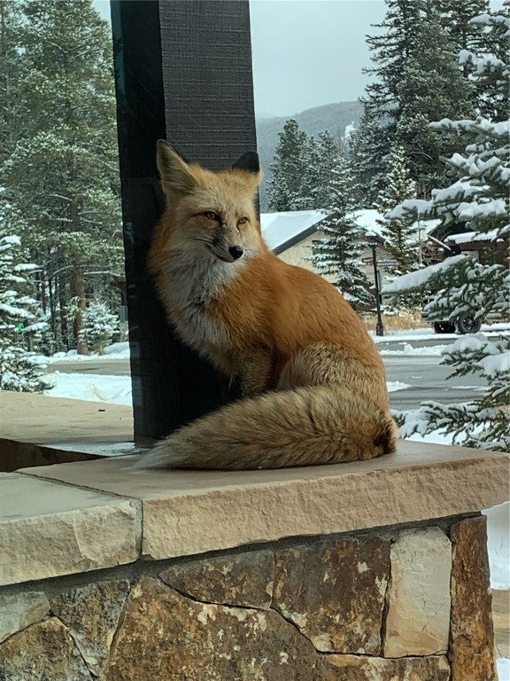 Breckenridge, Colorado, 80424, United States, ,5 BathroomsBathrooms,Residential,Active,1738241