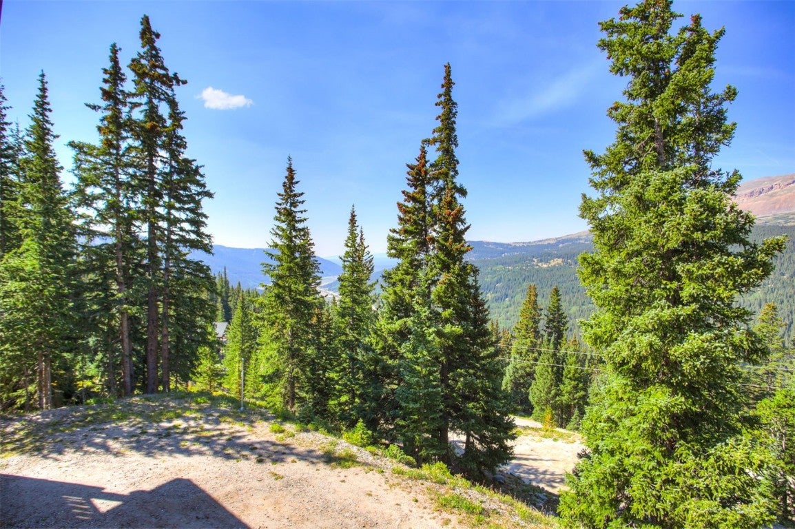 Alma, Colorado, 80420, United States, 3 Bedrooms Bedrooms, ,3 BathroomsBathrooms,Residential,Active,1914825