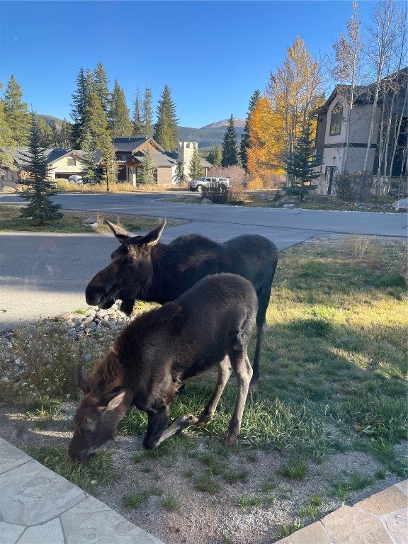 Breckenridge, Colorado, 80424, United States, ,5 BathroomsBathrooms,Residential,Active,1738241