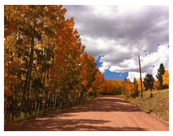 Fairplay, Colorado, 80440, United States, 4 Bedrooms Bedrooms, ,3 BathroomsBathrooms,Residential,Active,1849545