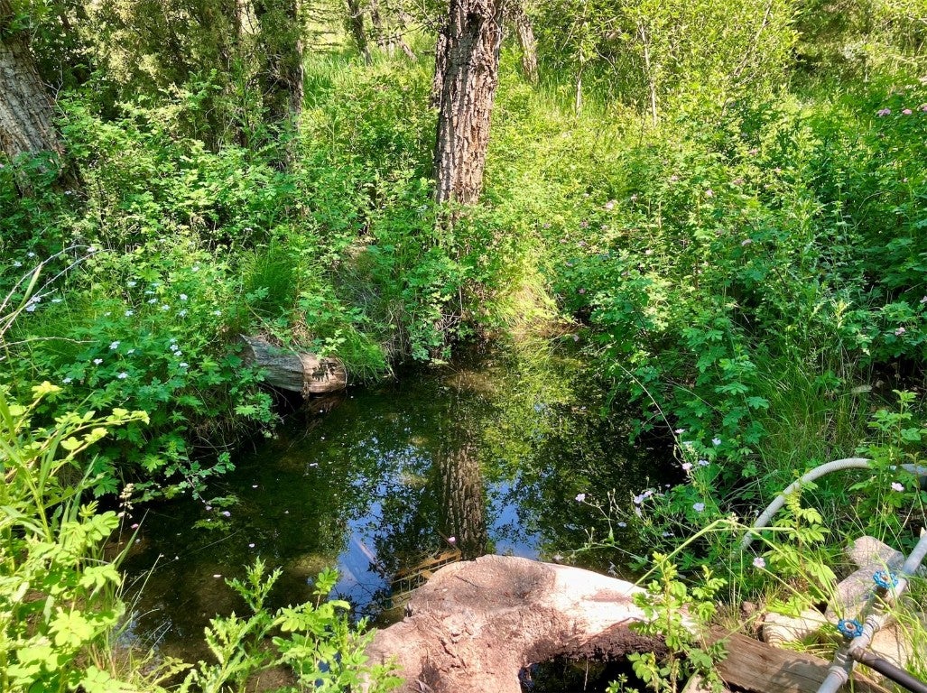 Silverthorne, Colorado, 80498, United States, ,3 BathroomsBathrooms,Residential,Active,1704856