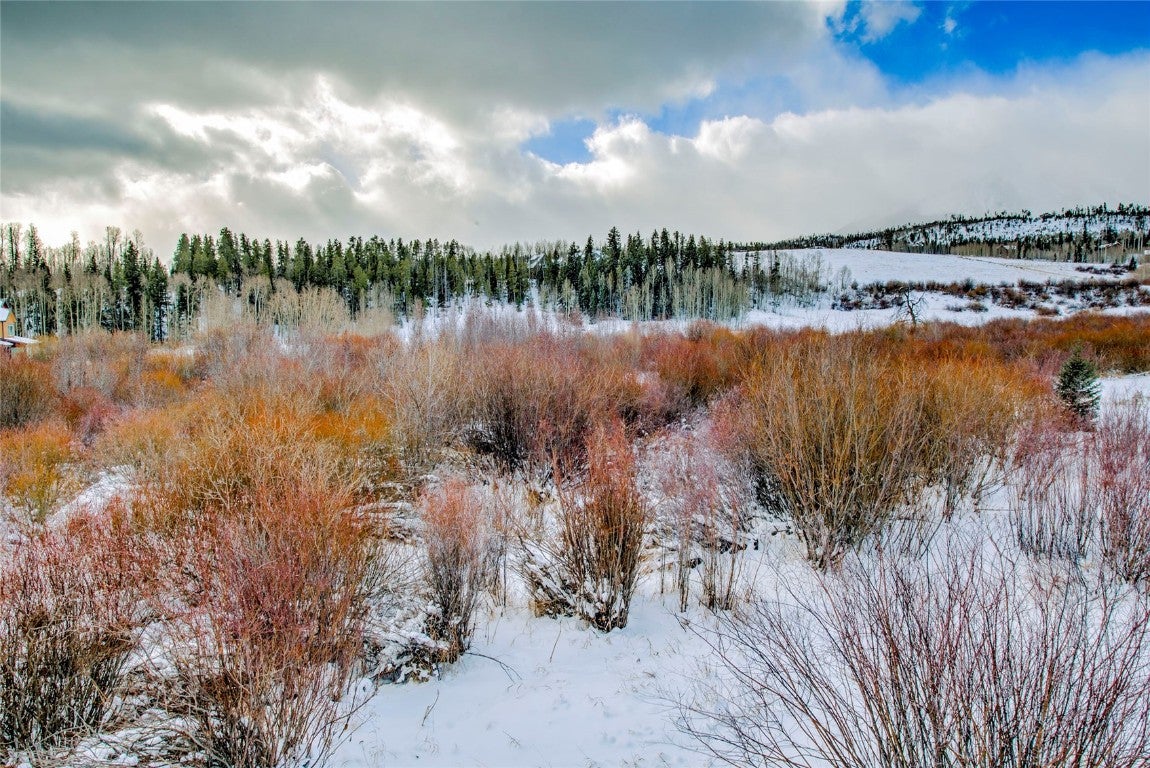 Silverthorne, Colorado, 80498, United States, 5 Bedrooms Bedrooms, ,4 BathroomsBathrooms,Residential,Active,2002610