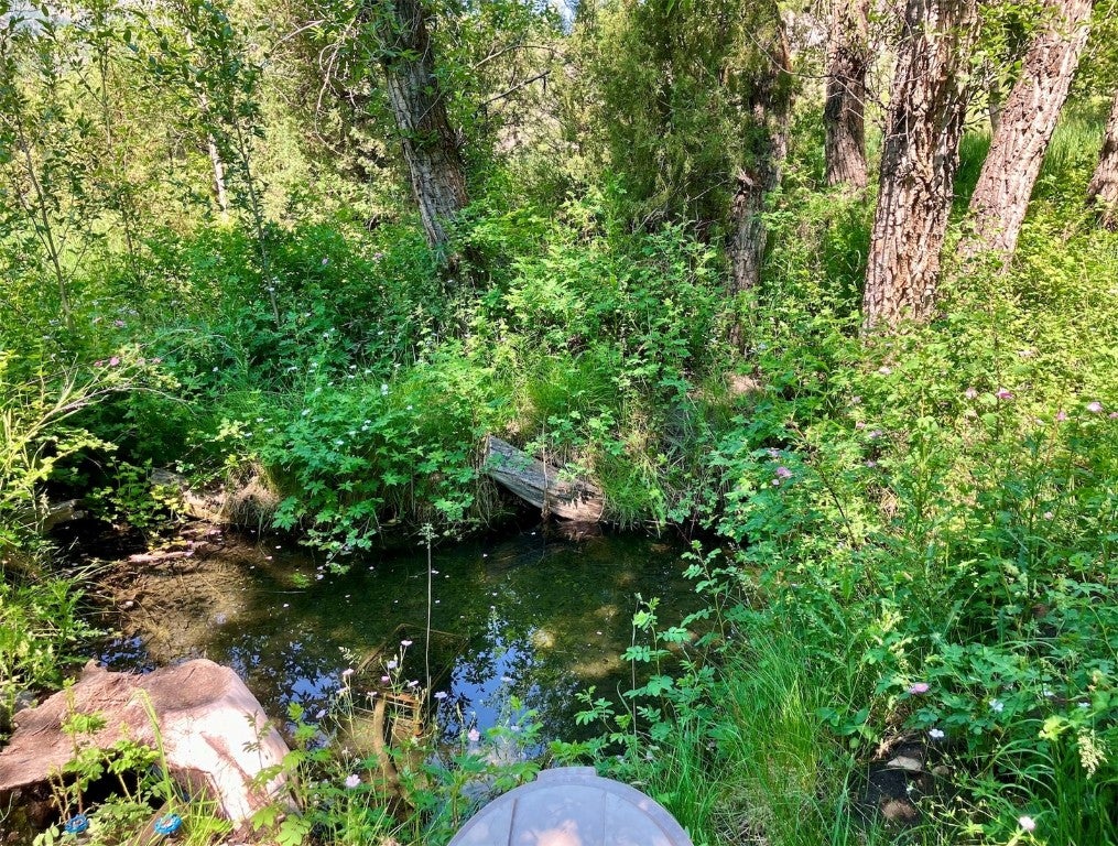 Silverthorne, Colorado, 80498, United States, ,3 BathroomsBathrooms,Residential,Active,1704856