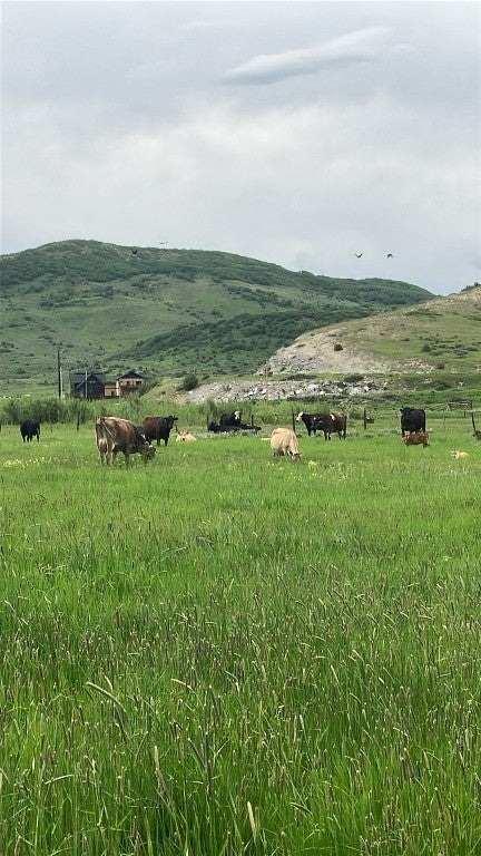 Steamboat Springs, Colorado, 80487, United States, 5 Bedrooms Bedrooms, ,4 BathroomsBathrooms,Residential,Active,1742286