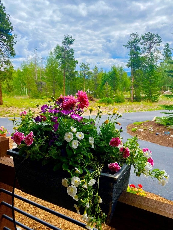 Frisco, Colorado, 80443, United States, 3 Bedrooms Bedrooms, ,5 BathroomsBathrooms,Residential,Active,1769391