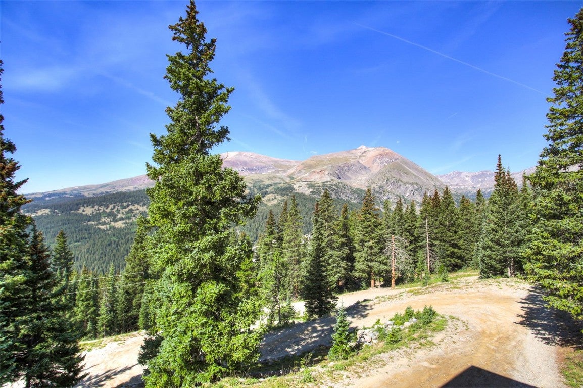 Alma, Colorado, 80420, United States, 3 Bedrooms Bedrooms, ,3 BathroomsBathrooms,Residential,Active,1914825