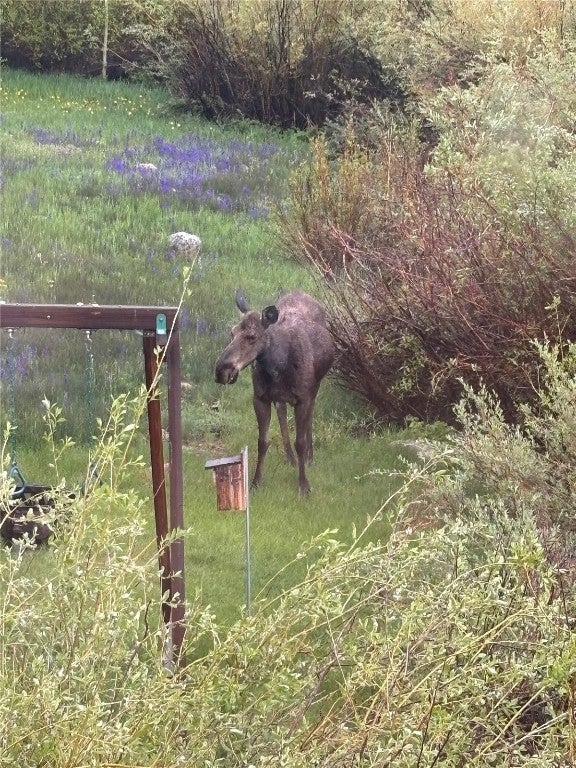 Silverthorne, Colorado, 80498, United States, 5 Bedrooms Bedrooms, ,4 BathroomsBathrooms,Residential,Active,2002610