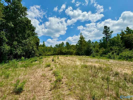 DEWBERRY LANE DEWBERRY DRIVE, SULLIGENT, AL 35586 - Image 1