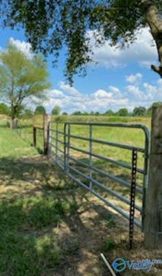 64 ACRES COUNTY ROAD 463, SECTION, AL 35771, photo 2 of 7