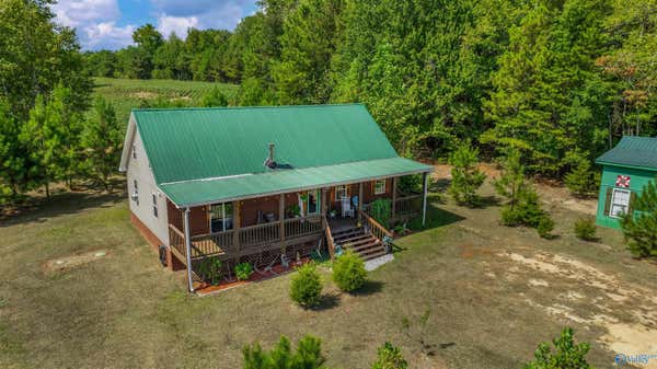 95 COUNTY ROAD 369, FORT PAYNE, AL 35967 - Image 1