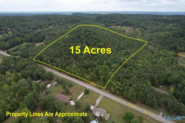 15 ACRES ALABAMA HIGHWAY 101, TOWN CREEK, AL 35672 - Image 1