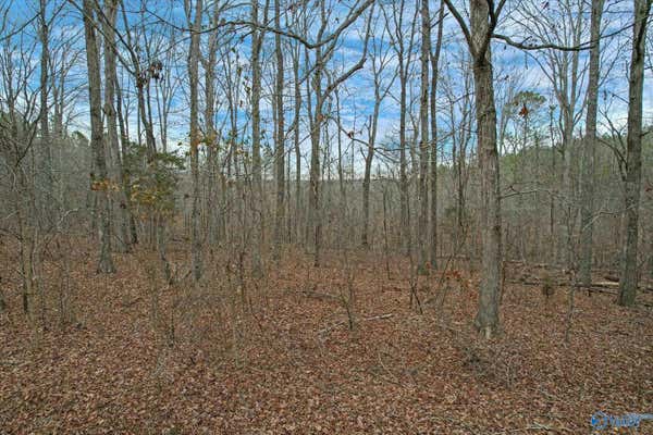 20 ACRES COUNTY ROAD 71, MOULTON, AL 35650, photo 2 of 11