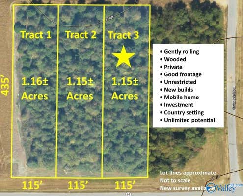 TRACT 3 HIGHWAY 64, LEXINGTON, AL 35648 - Image 1