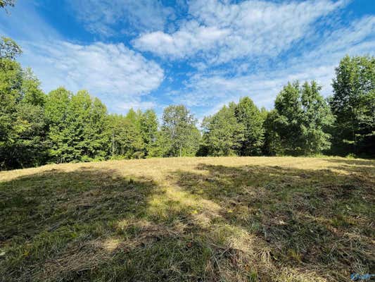 21.5 AC OLD HWY 227, LANGSTON, AL 35755 - Image 1