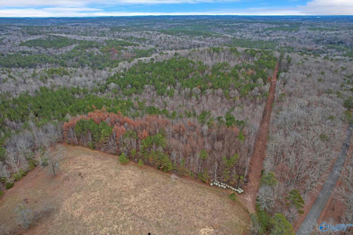 20 ACRES COUNTY ROAD 71, MOULTON, AL 35650, photo 1 of 11