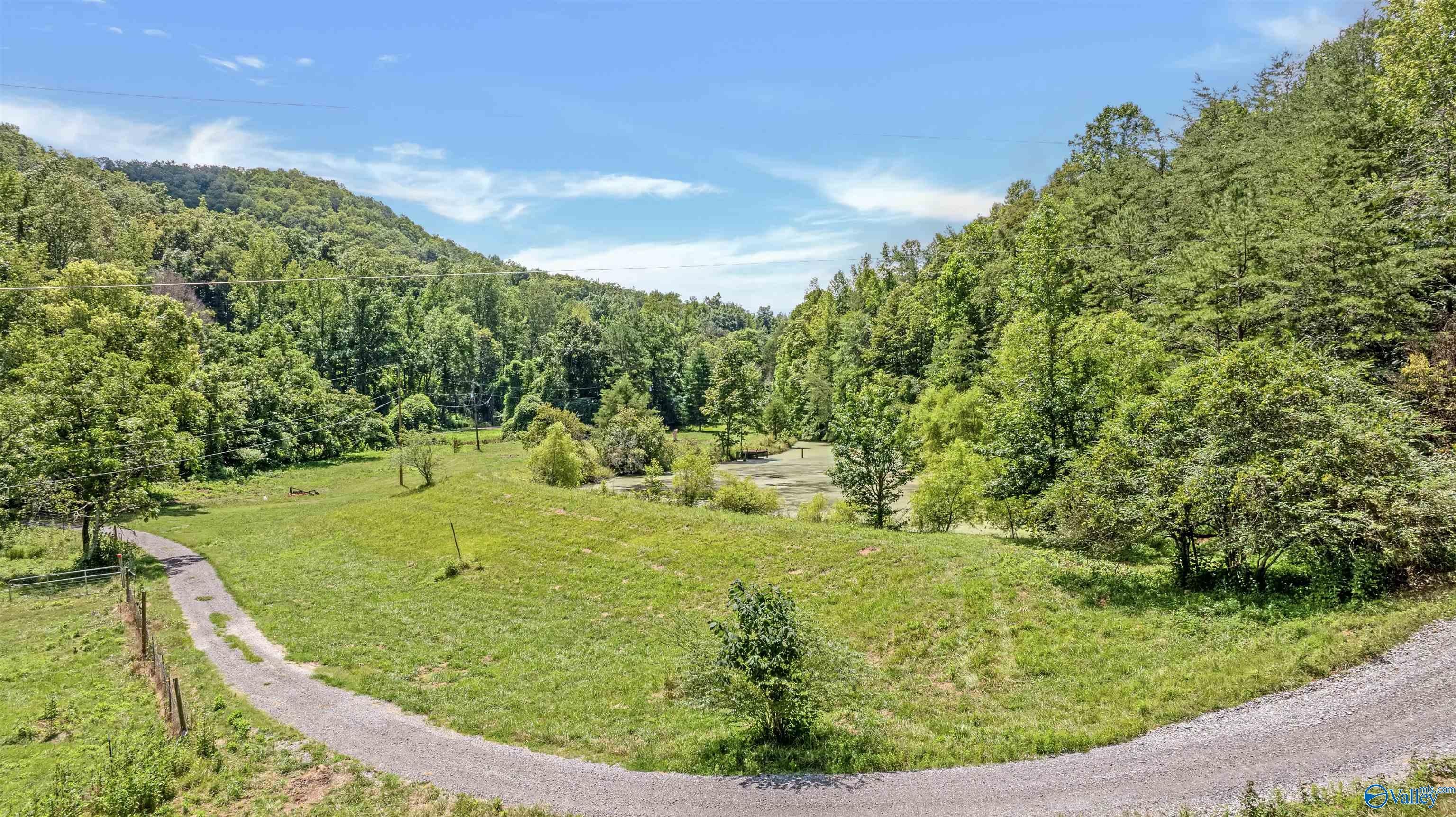 Trenton, Georgia, 30752, United States, 4 Bedrooms Bedrooms, ,4 BathroomsBathrooms,Residential,Active,1963412