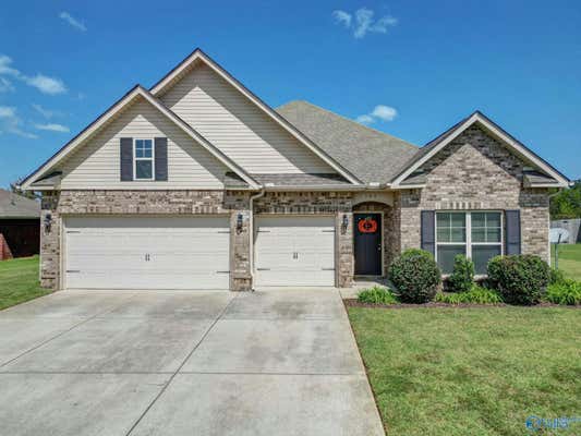 163 LEXI LN, MERIDIANVILLE, AL 35759 - Image 1