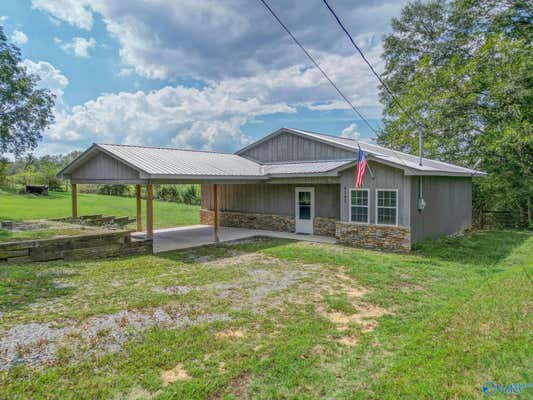 4141 COUNTY HIGHWAY 21, HORTON, AL 35980 - Image 1