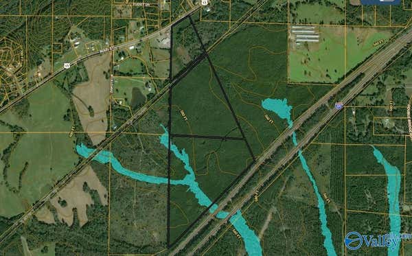 130 ACRES HIGHWAY 11, ASHVILLE, AL 35987 - Image 1