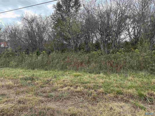 2.44 AC ALABAMA HIGHWAY 75, IDER, AL 35981 - Image 1