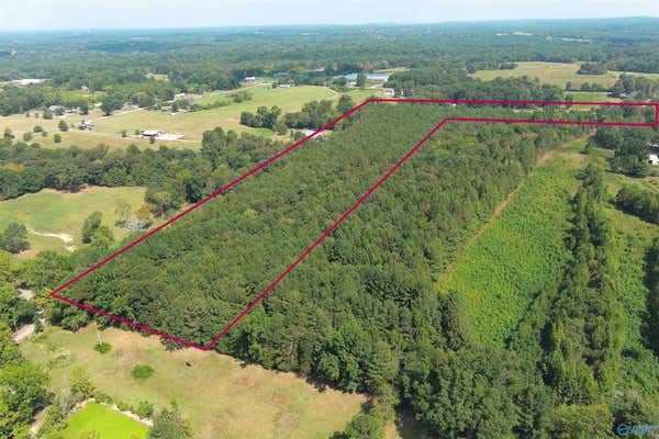 16 ACRES BROWN ROAD, DANVILLE, AL 35619 - Image 1