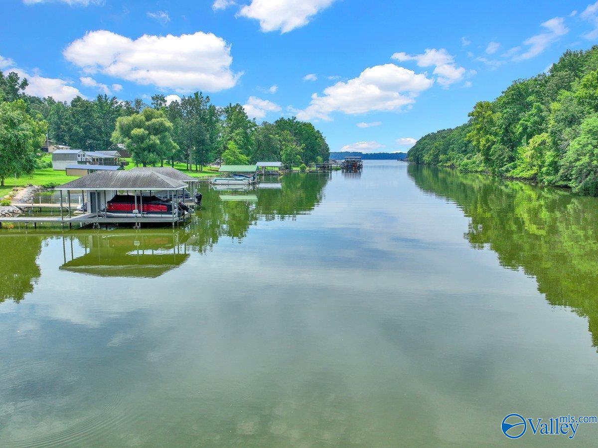 Rogersville, Alabama, 35652, United States, 6 Bedrooms Bedrooms, ,8 BathroomsBathrooms,Residential,Active,1996276