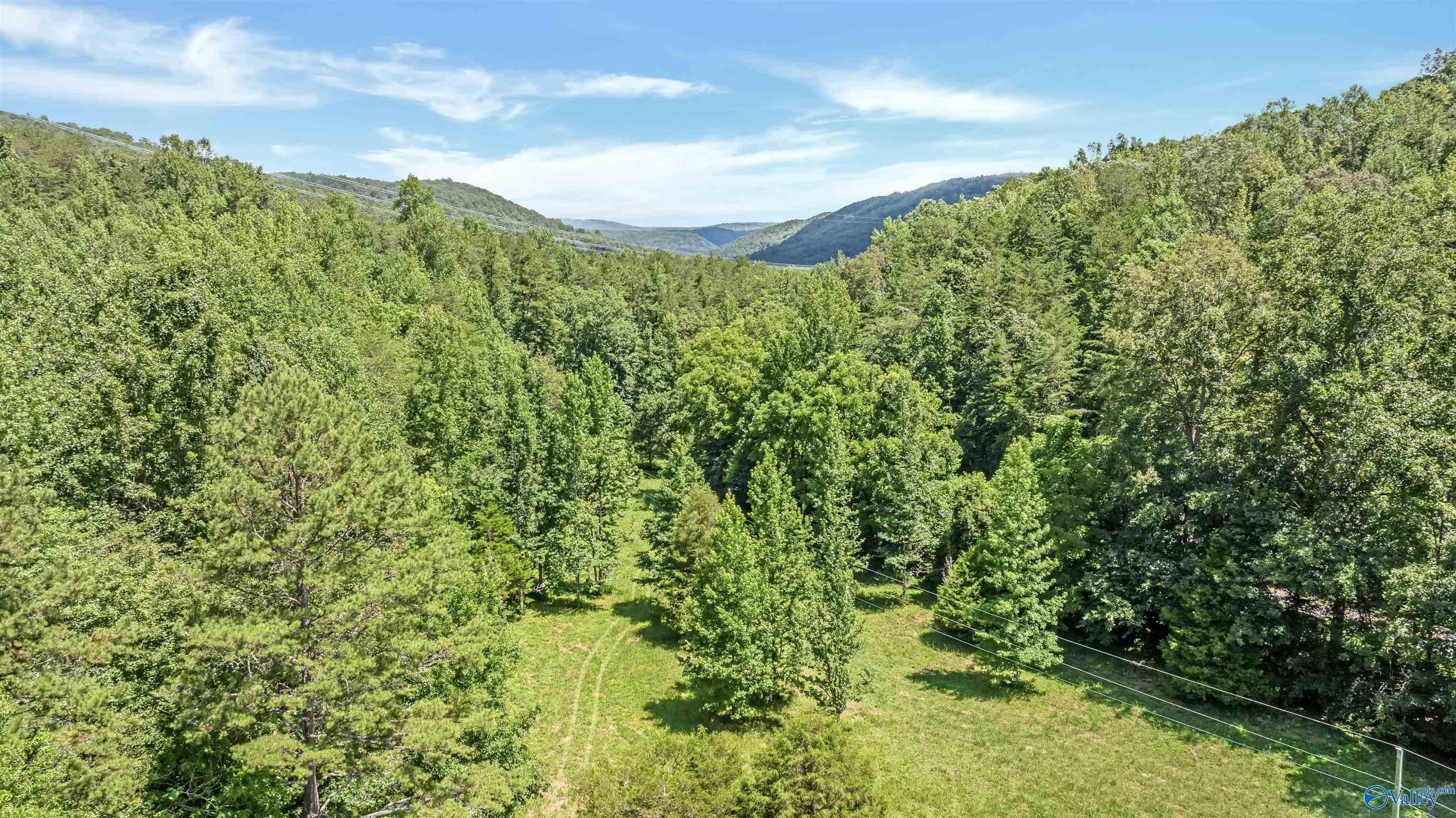 Trenton, Georgia, 30752, United States, 4 Bedrooms Bedrooms, ,4 BathroomsBathrooms,Residential,Active,1963412