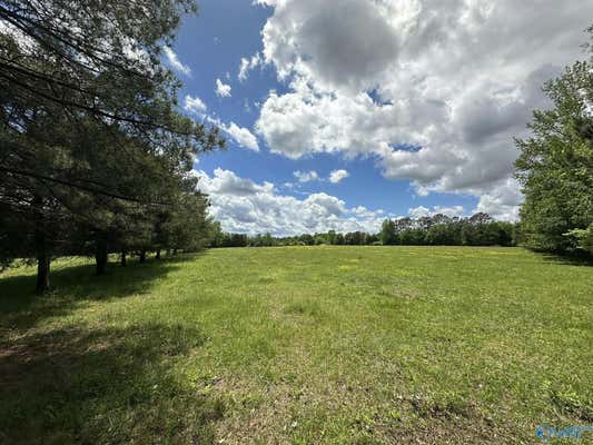 16 ACRES WALLACE DRIVE, HARTSELLE, AL 35640, photo 4 of 17