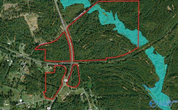 161 ACRES HIGHWAY 231, WATTSVILLE, AL 35131 - Image 1