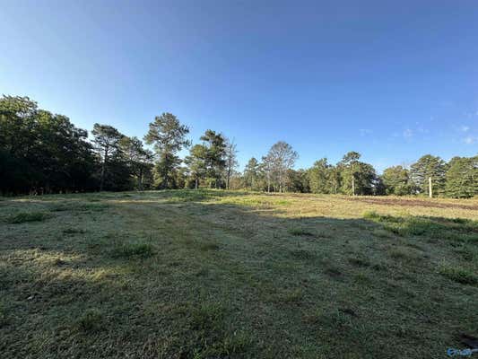 20 ACRES COUNTY ROAD 432, FYFFE, AL 35971 - Image 1