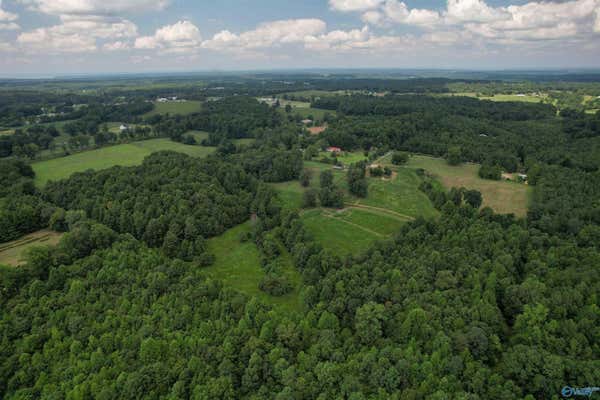 65 AC SWEETGUM ROAD, IDER, AL 35981 - Image 1