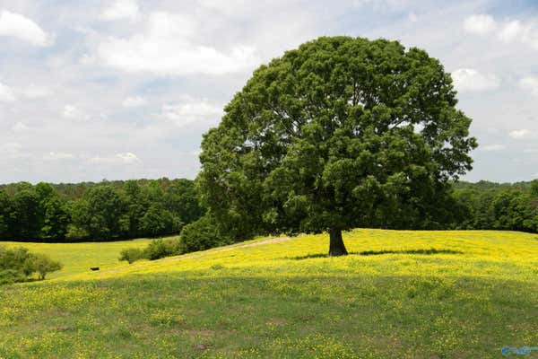 120.5 ACRES COUNTY ROAD 974, LOGAN, AL 35098, photo 2 of 35