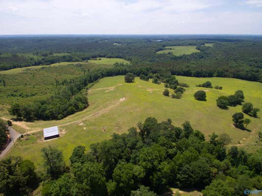 120.5 ACRES COUNTY ROAD 974, LOGAN, AL 35098, photo 3 of 35