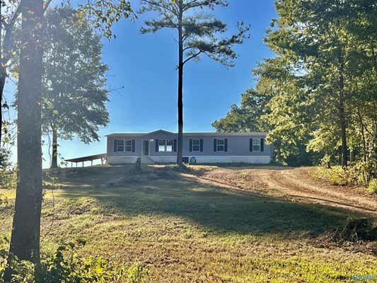 4719 AL HIGHWAY 68 W # 68, LEESBURG, AL 35983 - Image 1