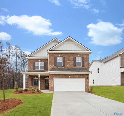 163 STORY RAY DR, NEW MARKET, AL 35761 - Image 1