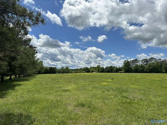 16 ACRES WALLACE DRIVE, HARTSELLE, AL 35640, photo 5 of 17