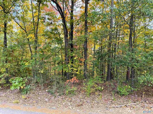 LOT 8 WHITE STREET, GADSDEN, AL 35901 - Image 1