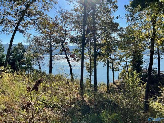 LOT 252 LOOKOUT MOUNTAIN DRIVE, SCOTTSBORO, AL 35769 - Image 1