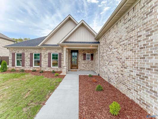 223 OAKLAND VIEW DR, BROWNSBORO, AL 35741 - Image 1