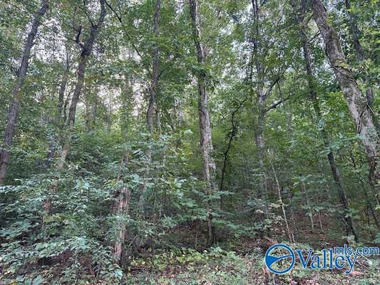 * WYETH DRIVE, GUNTERSVILLE AL 35976, GUNTERSVILLE, AL 35976 - Image 1