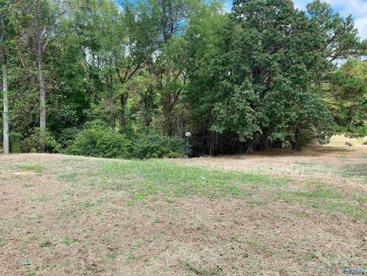 1 ACRE HIGHWAY 67, SOMERVILLE, AL 35670 - Image 1