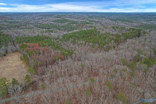 20 ACRES COUNTY ROAD 71, MOULTON, AL 35650, photo 5 of 11