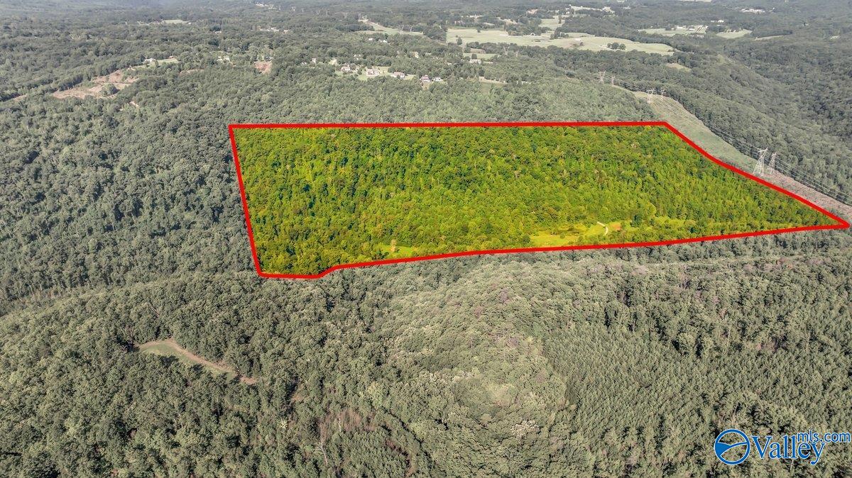 Trenton, Georgia, 30752, United States, 4 Bedrooms Bedrooms, ,4 BathroomsBathrooms,Residential,Active,1963412