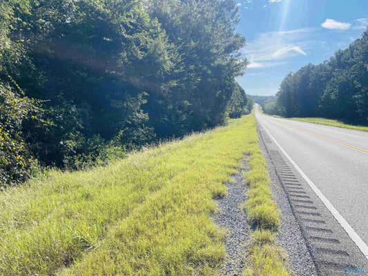 21.5 AC OLD HWY 227, LANGSTON, AL 35755, photo 4 of 50